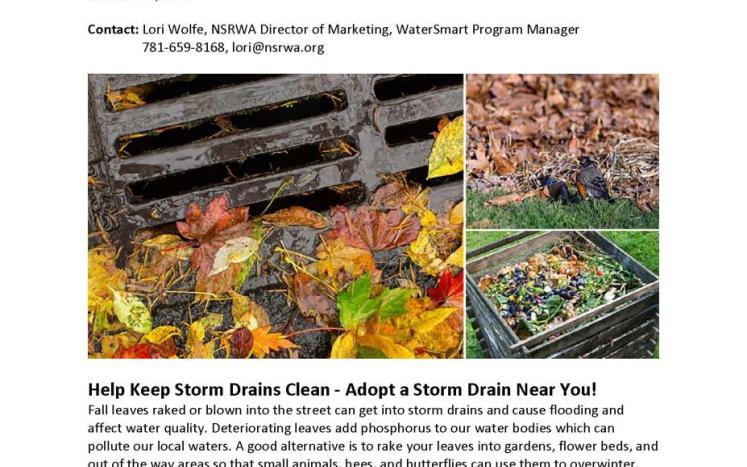 Fall leaves raked or blown into the street can get into storm drains and cause flooding and affect water quality. 